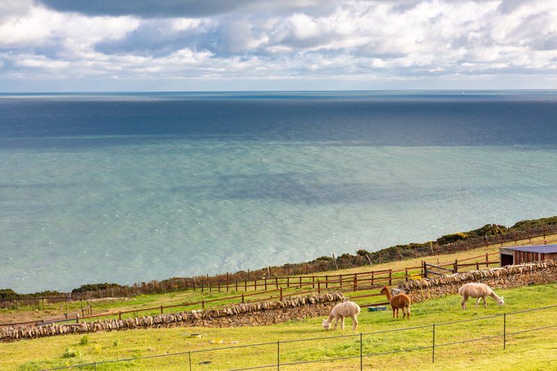 Photo of Oceanfront House, Howth, Co. Dublin, D13 E6V3