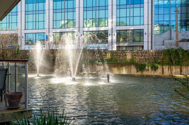 Photo of The Blackthorn, Riversdale, Dundrum, D16 PD29