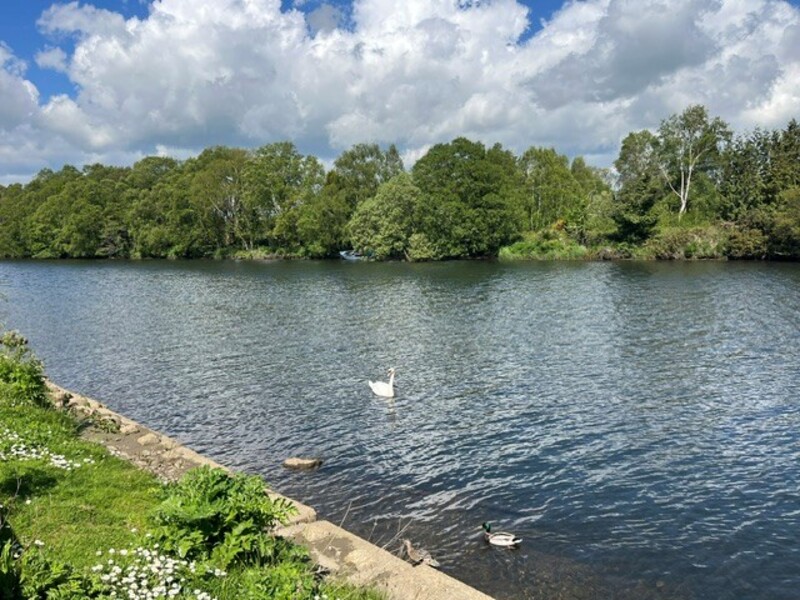 Photo of Condren's Lane Upper, Arklow, Co Wicklow, Y14 XY36