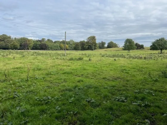 Photo of Lot 2 & 3 Ballintemple House, Cloughjordan, Co. Tipperary, E53 RY95