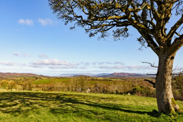 Photo of Carrickbanagher, Drumfin, Co. Sligo, F52X957
