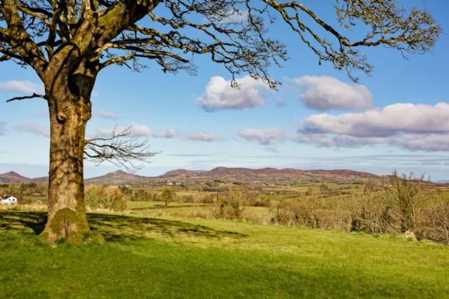 Photo of Carrickbanagher, Drumfin, Co. Sligo, F52X957