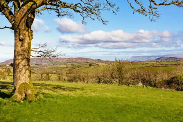 Photo of Carrickbanagher, Drumfin, Co. Sligo, F52X957