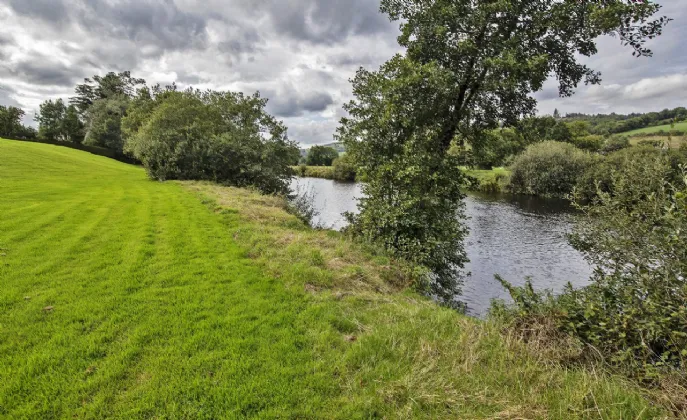 Photo of Blackwater Beeches, Cloonbeg, Ballyduff Upper, Co Waterford, P51 YY67