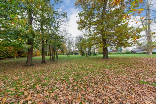 Photo of 48 Leinster Wood, Carton Demesne, Maynooth, Co Kildare, W23N5Y9