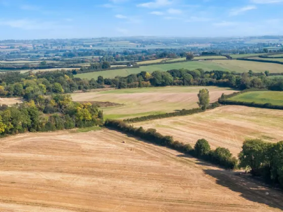 Photo of Levalley Farm & Residence, (Approx. 49 Acres), Rathdowney, County Laois, R32 DE72