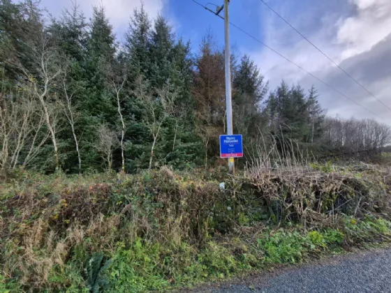 Photo of 27.13 Acres Of Forestry, Stripe North, Milltown, Tuam, Co. Galway