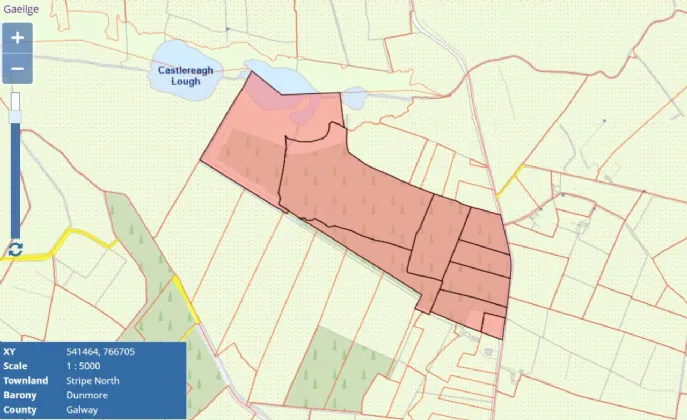 Photo of 27.13 Acres Of Forestry, Stripe North, Milltown, Tuam, Co. Galway