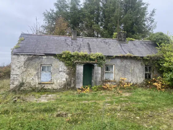 Photo of Larkfield, Granard, Co. Longford, N39 N9R2