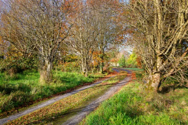 Photo of Ballysumaghan Old Rectory, Lurgan, Ballintogher, Co. Sligo, F91NW13