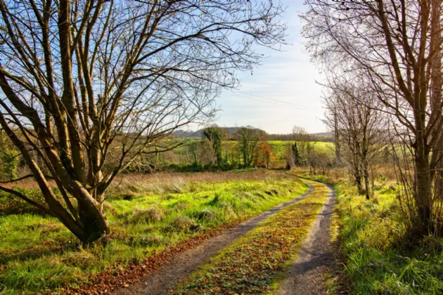 Photo of Ballysumaghan Old Rectory, Lurgan, Ballintogher, Co. Sligo, F91NW13