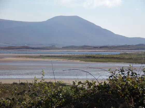 Photo of 2 Coastal Cottages With 18.94 Acres, Dooriel, Ballycroy, Westport, Co Mayo, F28 TK20