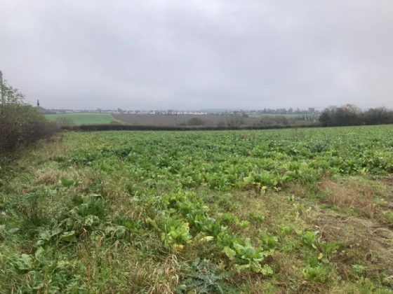 Photo of 9.5 Acres Agri Lands, Ricketstown, Rathvilly, Co. Carlow