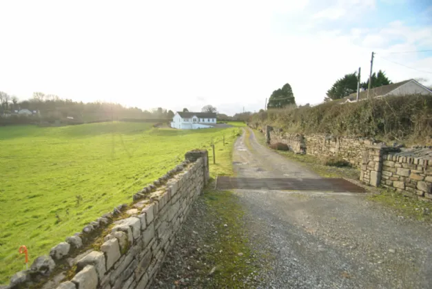 Photo of New Road, Roscrea, Co. Tipperary, E53 NX27