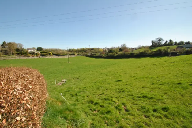 Photo of New Road, Roscrea, Co. Tipperary, E53 NX27