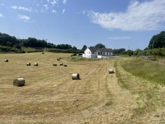 Photo of New Road, Roscrea, Co. Tipperary, E53 NX27