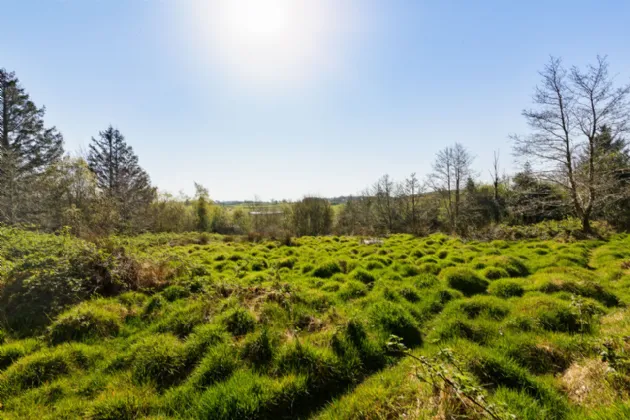 Photo of Lecarrow, Ballinafad, Co. Sligo, F52 T651