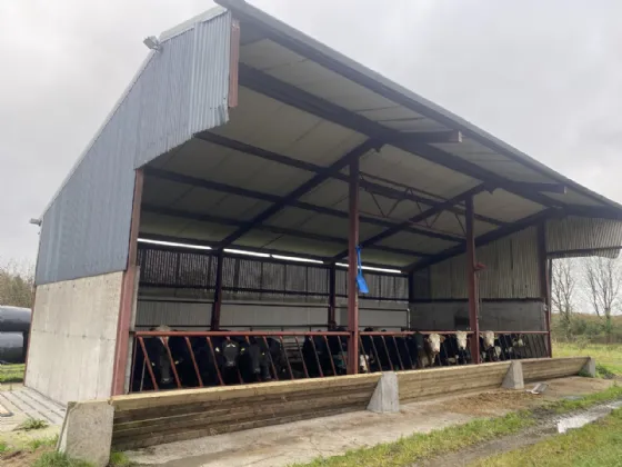 Photo of Three Bay Shed On Yard 0.93 Acre Approx, Coolcraff, Abbeylara, Co. Longford, N39 EY81