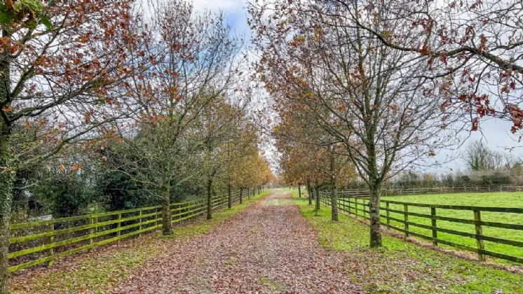 Photo of Residential Site (STPP), Troyswood, Thornback Road, Kilkenny