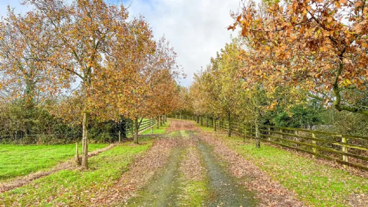 Photo of Residential Site (STPP), Troyswood, Thornback Road, Kilkenny