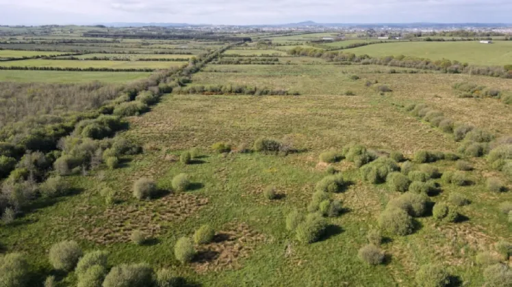 Photo of C. 64 Acres At Townergare, Ballyknock, Co Waterford, Folio: WD24841F