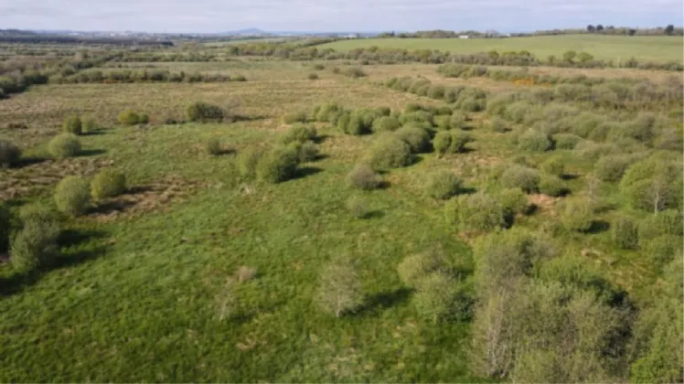 Photo of C. 64 Acres At Townergare, Ballyknock, Co Waterford, Folio: WD24841F