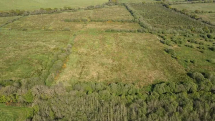 Photo of C. 64 Acres At Townergare, Ballyknock, Co Waterford, Folio: WD24841F