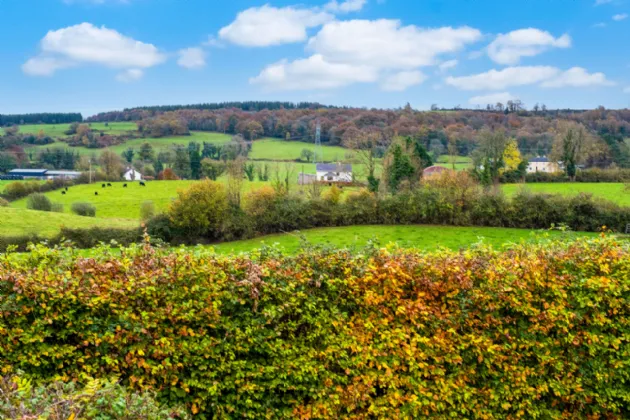 Photo of Abbeyville, Abbey, Loughrea, Co. Galway, H62 D821