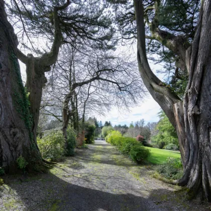 Photo of Beechvale Lawn, Rochestown Road, Cork, T12FH6N