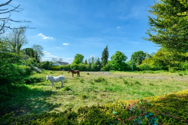 Photo of Cloonbalt, Drumlish Road, Longford, N39 NF16
