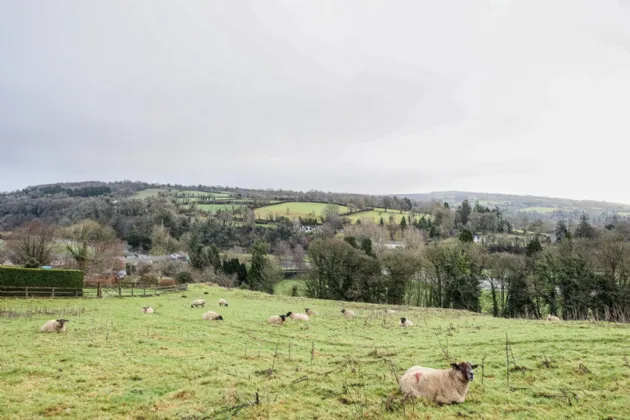 Photo of Forest Hills, High Street, Inistioge, Co Kilkenny, R95 V6R6