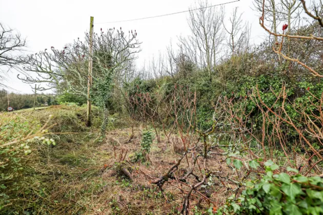 Photo of Forest Hills, High Street, Inistioge, Co Kilkenny, R95 V6R6