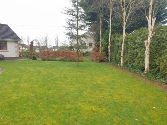 Photo of 11 Hyde Court, Golf Links Road, Roscommon, Co. Roscommon, F42 DY99