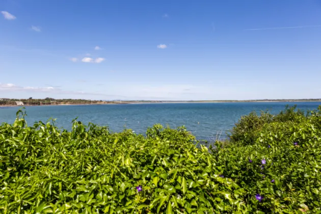 Photo of Quay Road, Fethard, Co Wexford, Y34 Y478