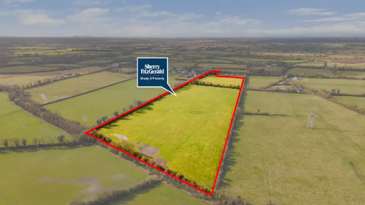 Photo of Laragh Demesne, Maynooth, Co Kildare