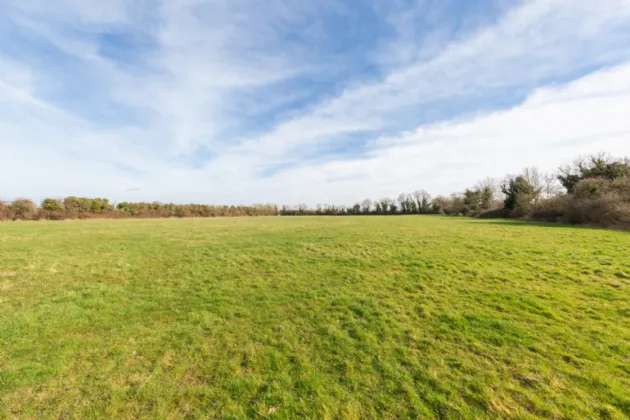 Photo of Laragh Demesne, Maynooth, Co Kildare