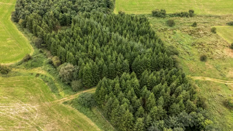 Photo of Carrigan, Ballinagh, Co Cavan, H12 NV24