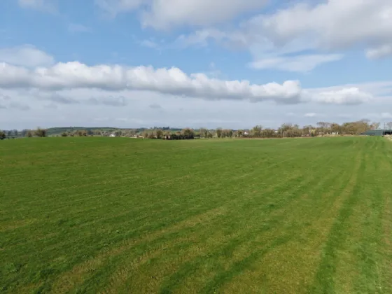 Photo of Rathniska, Kilskyre, Kells, Co Meath, A82R720