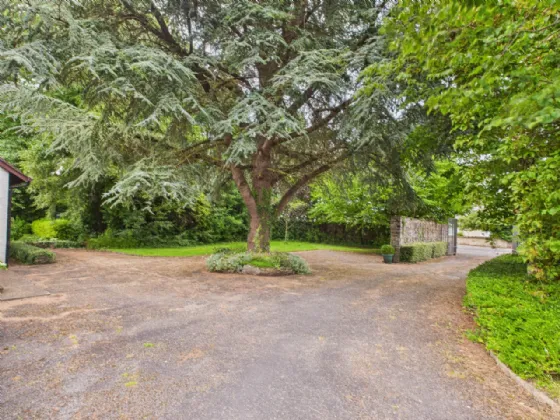 Photo of Rosamile, Gortlandroe, Nenagh, Co. Tipperary, E45 YD71