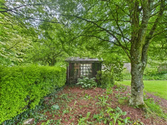 Photo of Rosamile, Gortlandroe, Nenagh, Co. Tipperary, E45 YD71