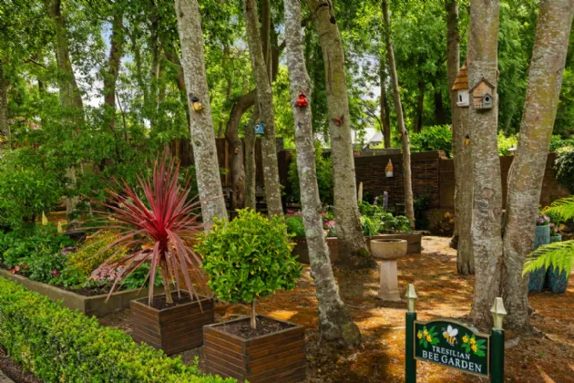 Photo of 6 Tresilian, Brighton Road, Foxrock, Dublin 18, D18 X6X0