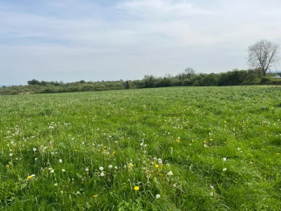 Photo of Shragh, Borrisokane, Co. Tipperary, E45 E278