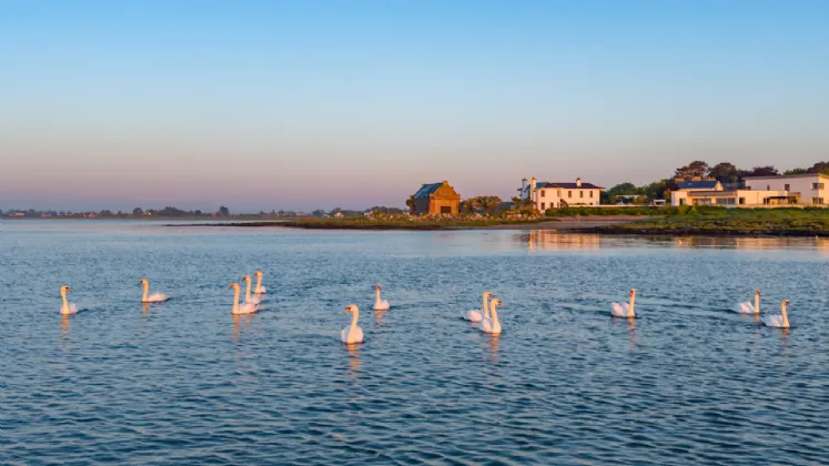 Photo of The Boat House, Coast Road, Blackrock, Co. Louth, A91 W667