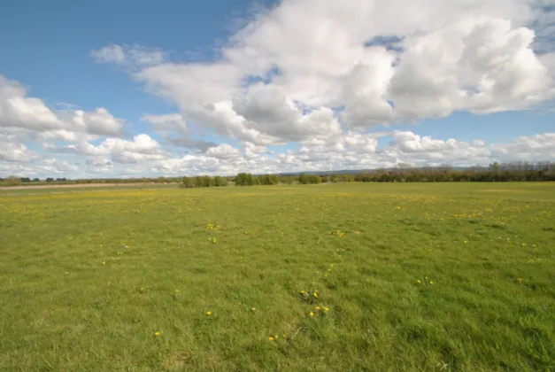 Photo of Eglish Villa On Approx. 27 Acres, Five Alley, Birr, Co. Offaly, R42 YD35