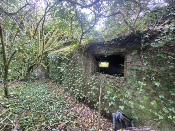 Photo of Dunganstown, Delvin, Co. Westmeath