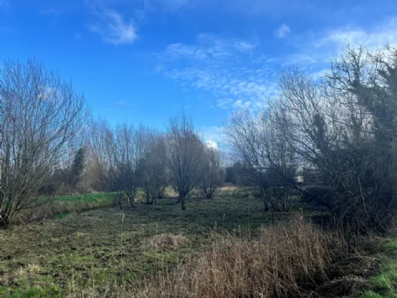 Photo of Brockagh Road, Robertstown, Co Kildare