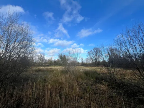 Photo of Brockagh Road, Robertstown, Co Kildare