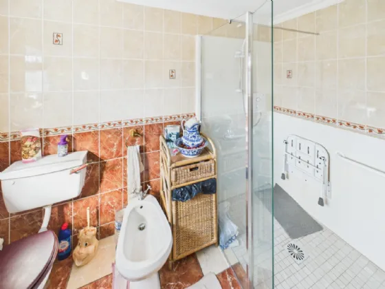 Photo of Carrig, Ballycommon, Nenagh, Co. Tipperary, E45KN99