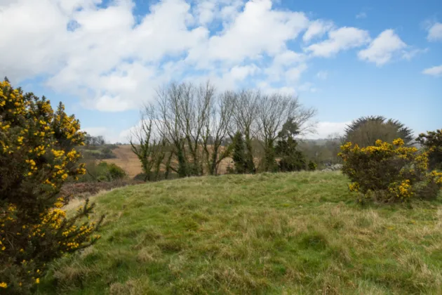 Photo of Birdie Cottage, Ballyvaldon, Blackwater, Enniscorthy, Co. Wexford, Y21 XD89