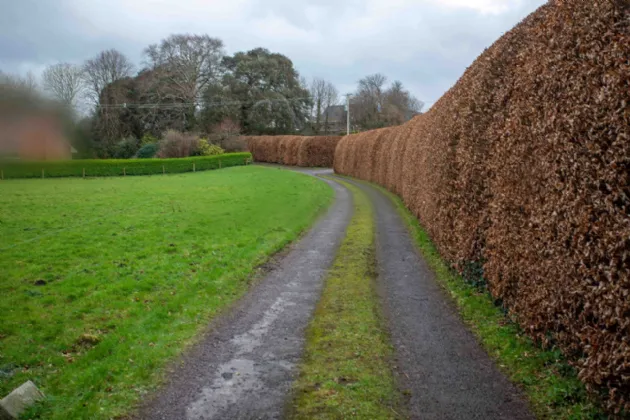 Photo of Belmont House, Ballyard, Tralee, Co. Kerry, V92 TYE6